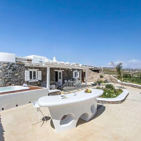 Villa Chaniotis Jacuzzi & Pool Mykonos Town Exterior photo